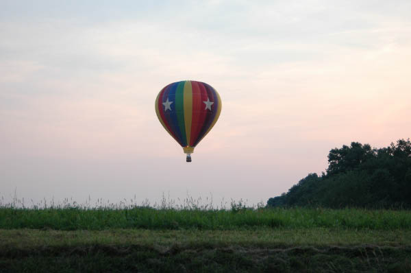 DSC_1981