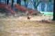 r094-010_edited-1