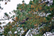 r094-021_edited-1