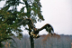 r094-025_edited-1
