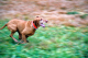 r094-026_edited-1