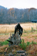 r094-032_edited-1